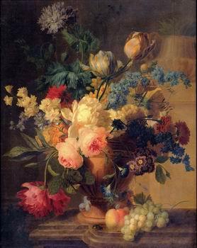unknow artist Floral, beautiful classical still life of flowers 029 oil painting image
